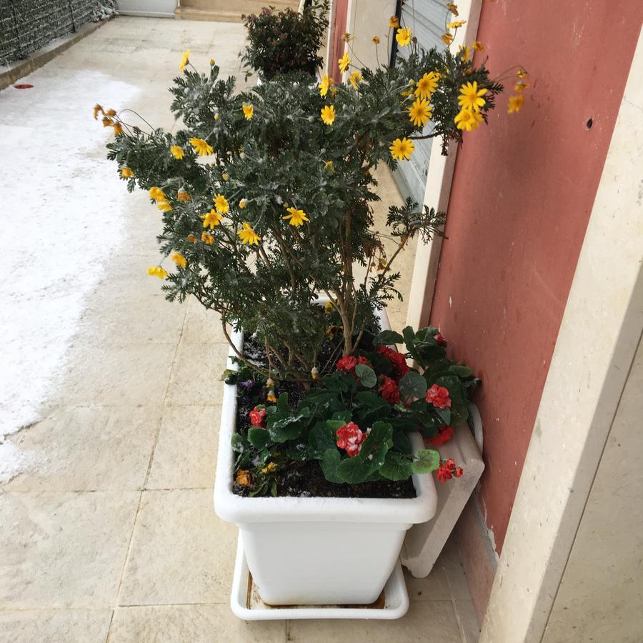 Amaranto Bnb Matera Exteriör bild
